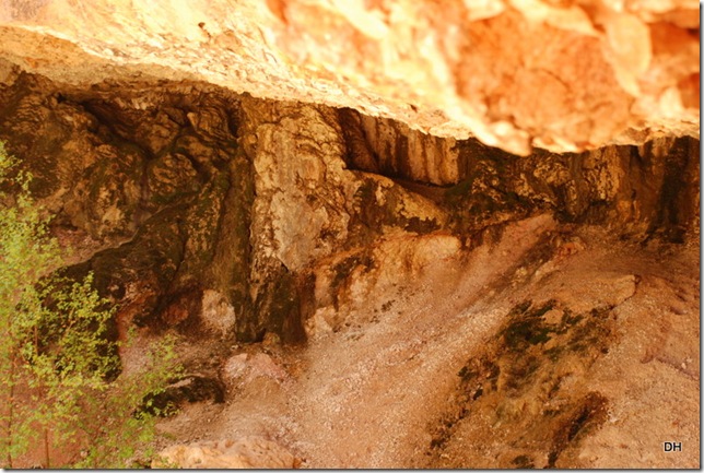 05-26-13 B Mossy Cave Trail Bryce (40)