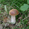 dsc04514.jpg dsc04514.jpg