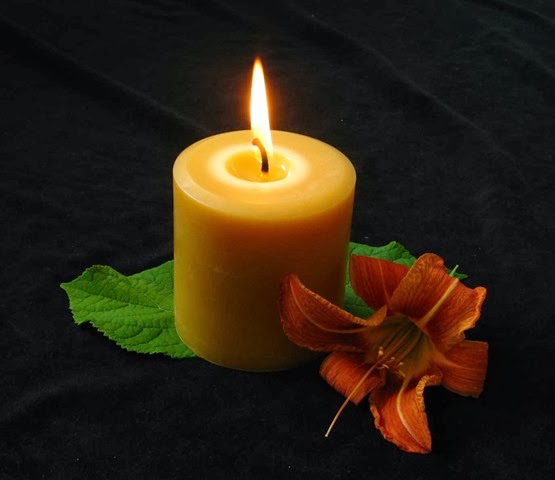 [pillar-burning-honey-candles%255B3%255D.jpg]