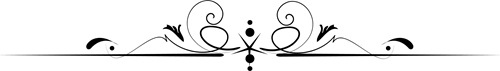 decorative-line-divider1 decorative-line-divider1
