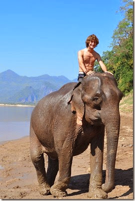 Laos Luang Prabang Elephant mahout course 140202_0144