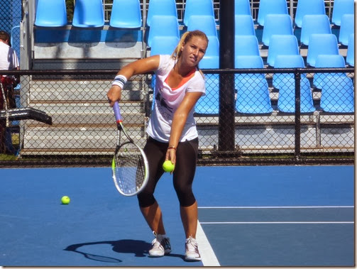 Dominika Cibulkova Dominika Cibulkova