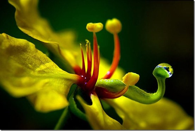 foto 6 foto 6