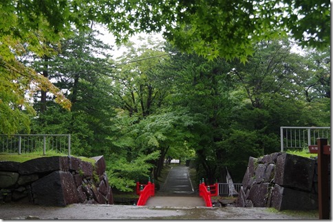 IMGP7788 IMGP7788