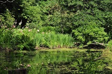 DSC_1766.JPG