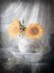 Colleen G. Drew "Sunflowers In Pitcher" Photography $150 Colleen G. Drew "Sunflowers In Pitcher" Photography $150
