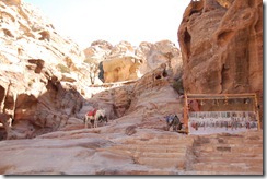 Oporrak 2011 - Jordania ,-  Petra, 21 de Septiembre  333