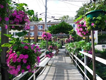 [castine-1030342%255B4%255D.jpg]