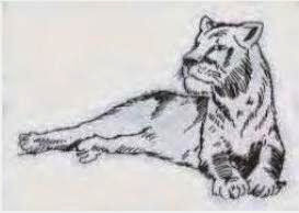 80+ Gambar Sketsa Flora Fauna Paling Bagus 80+ Gambar Sketsa Flora Fauna Paling Bagus