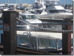 IMG_4269a IMG_4269a