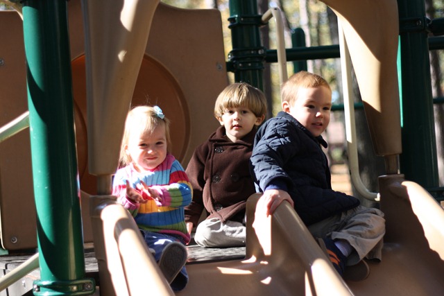 IMG_4305 IMG_4305