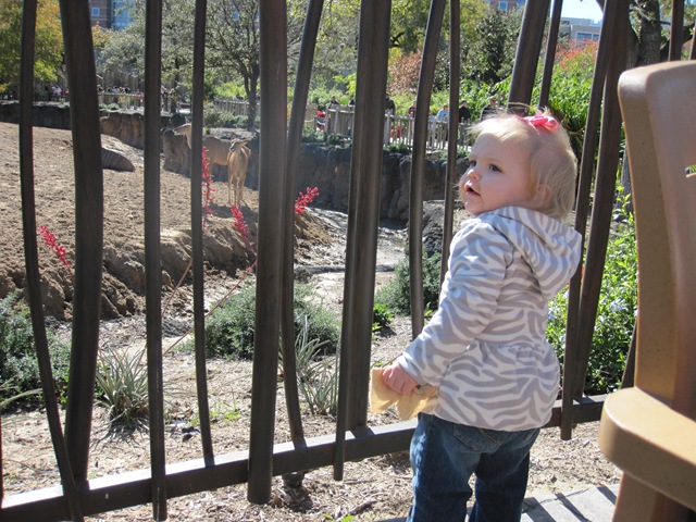 [IMG_0932%255B2%255D.jpg]