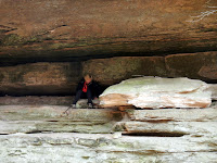 DSCN1321.JPG