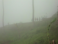 IMG_0909.JPG