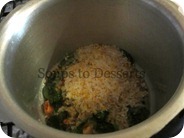 IMG_6667 IMG_6667