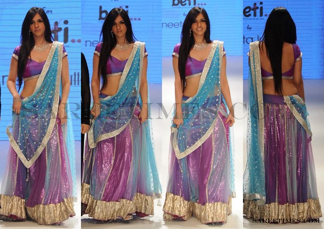 [Nishika_Lulla_Designer_Sari%255B3%255D.jpg]