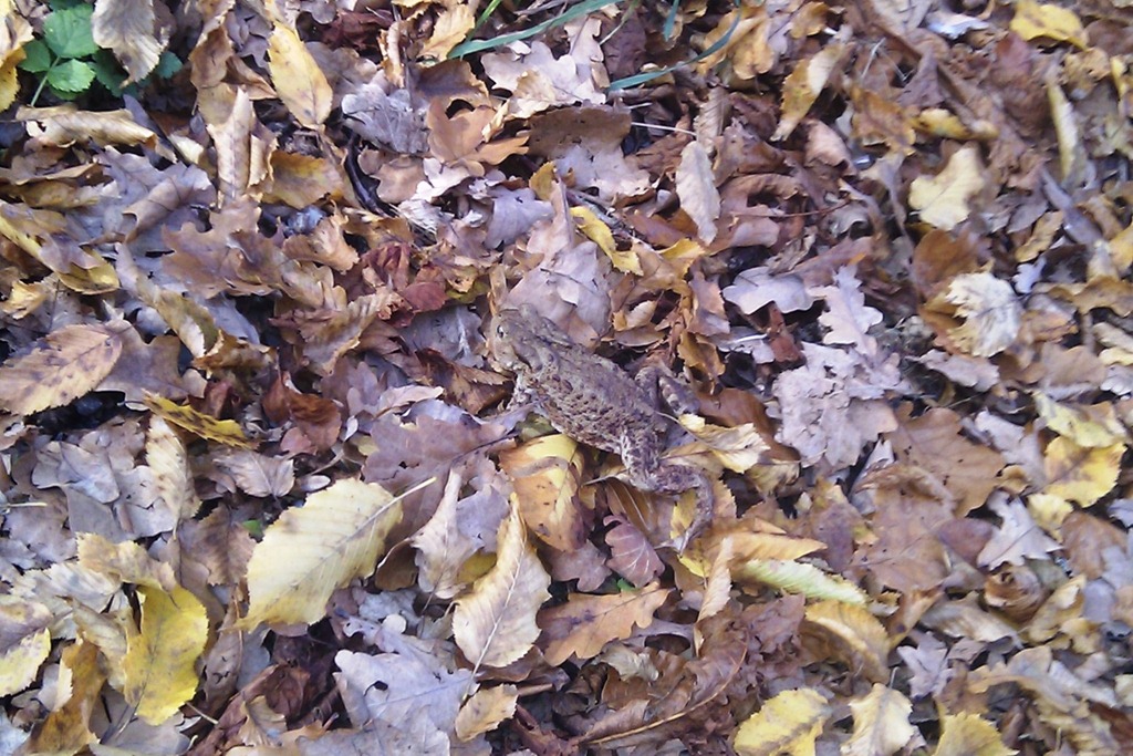 [IMAG0116%255B2%255D.jpg]