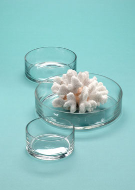 2-Inch High Glass Bolws. (jamaligarden.com)