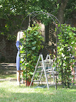 On our last day of shooting, Naomi created a beautiful ceremony structure by adding foliage to an iron archway.