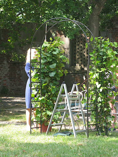 On our last day of shooting, Naomi created a beautiful ceremony structure by adding foliage to an iron archway.