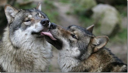 [clip_image009%255B3%255D.jpg]