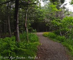 Quoddy MSB_8482 NIKON D300S July 03, 2011