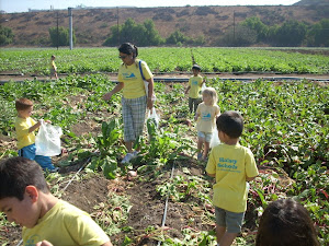 Walking through the farm!