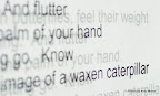 Exhibition "Reading Fire Writing Flame" by Eileen Casey