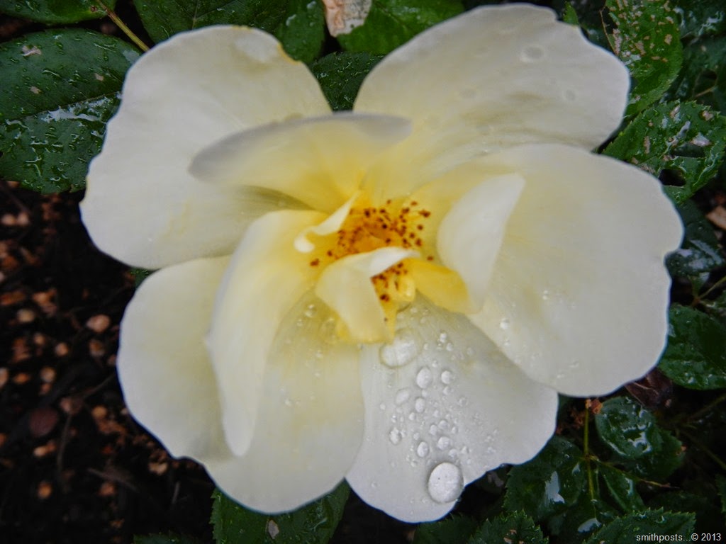 [DSCN6873%255B5%255D.jpg]