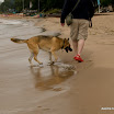Lake Huron-33.jpg