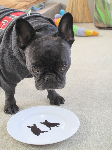 Sharkey!  Have you seen the latest objects that have arrived from our fan club?
