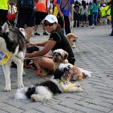 Pet Express Doggie Run 2012 Philippines. Jpg (258).JPG