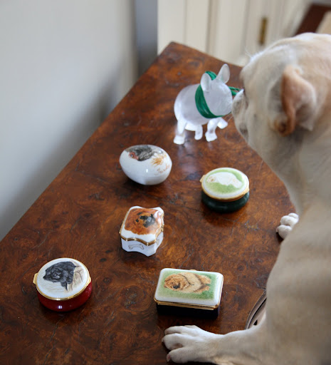 Well look at this!  It's a very beautiful collection of some of Martha's pets.  Let's take them down on the floor so we can have a better look.