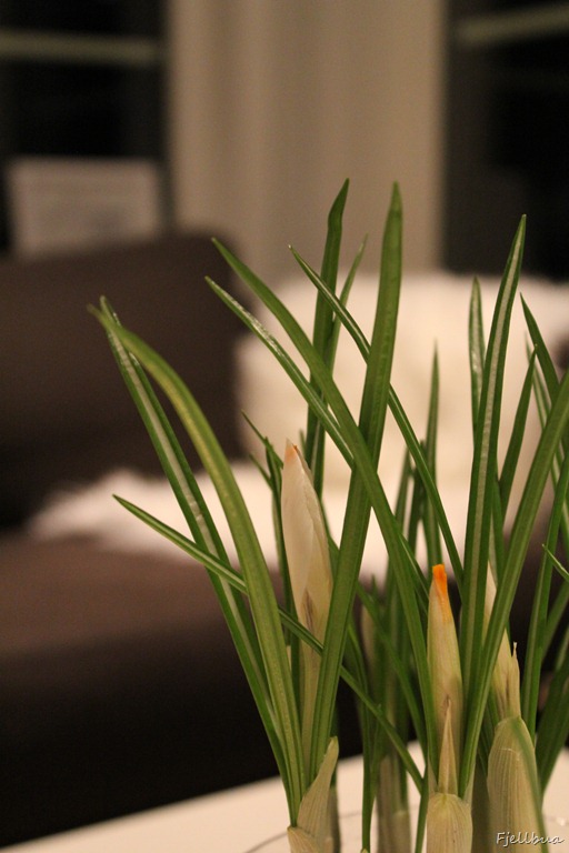 [IMG_1654%255B3%255D.jpg]