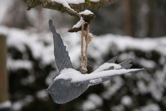 wintervogel wintervogel