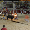 DSC09384.JPG