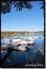 Club_Nautico_Soriano (12)