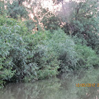 IMG_7918.JPG