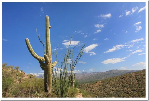 120729_SaguaroNP_019