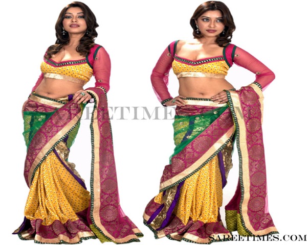 [Payal_Ghosh_Designer_Saree%255B3%255D.jpg]