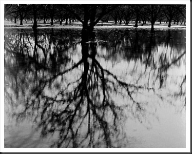 Henry_Gilpin_Trees_Reflections