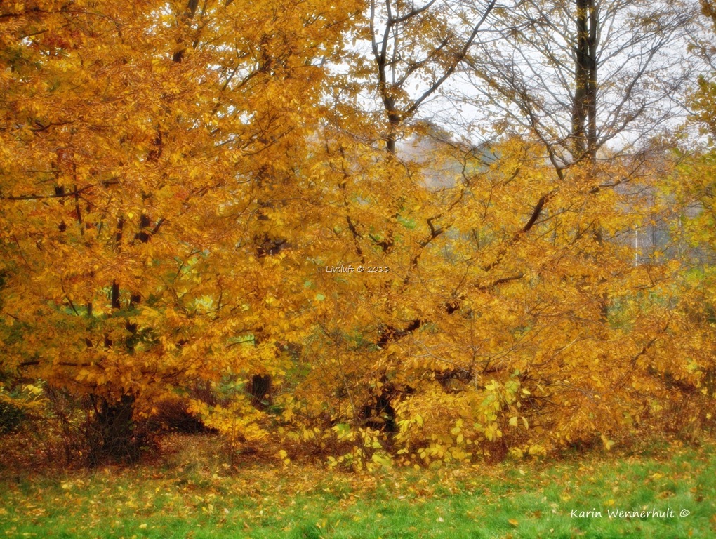 [P1011220RC4.jpg]