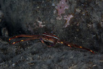 IMG_0959