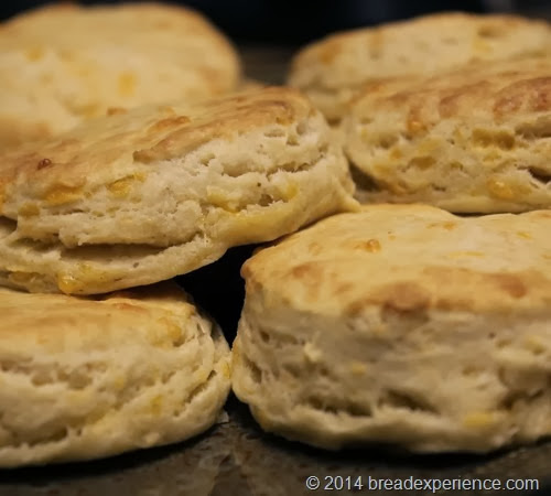 KAMUT Cheddar Biscuits
