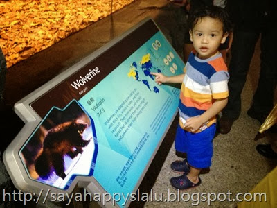 IMG_2045 IMG_2045