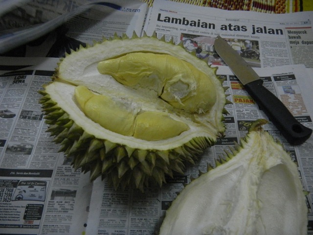 [Durian%2520Balik%2520Pulau%25202%255B4%255D.jpg]
