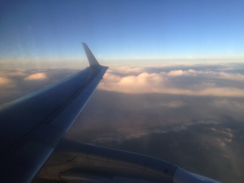 IMG_2761.jpg IMG 2761