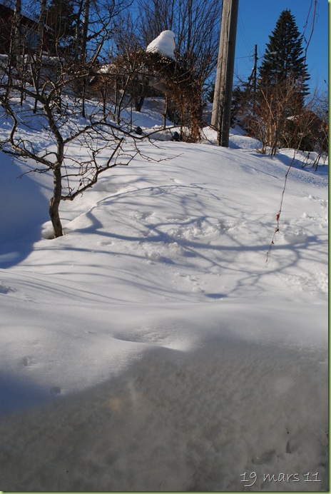 DSC_0004 DSC_0004