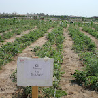 ABDALLY TRIAL