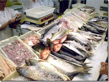 Como saber se o peixe está fresco - O peixe está bom?